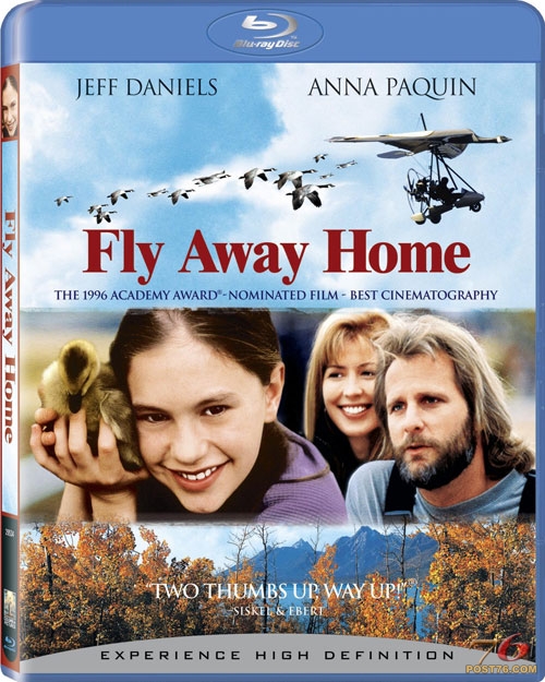 flyawayhome.jpg