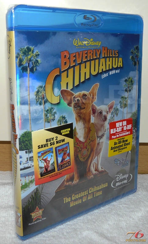 chihuahuaBD_cover.jpg