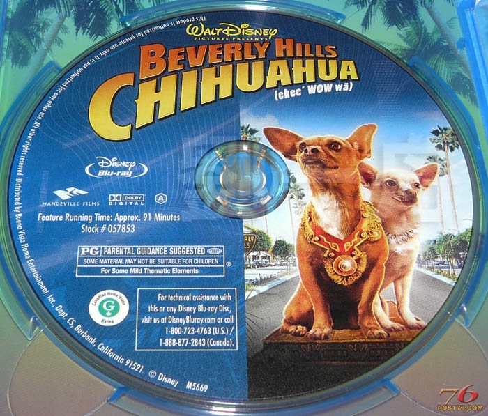 chihuahuaBD_disc.jpg