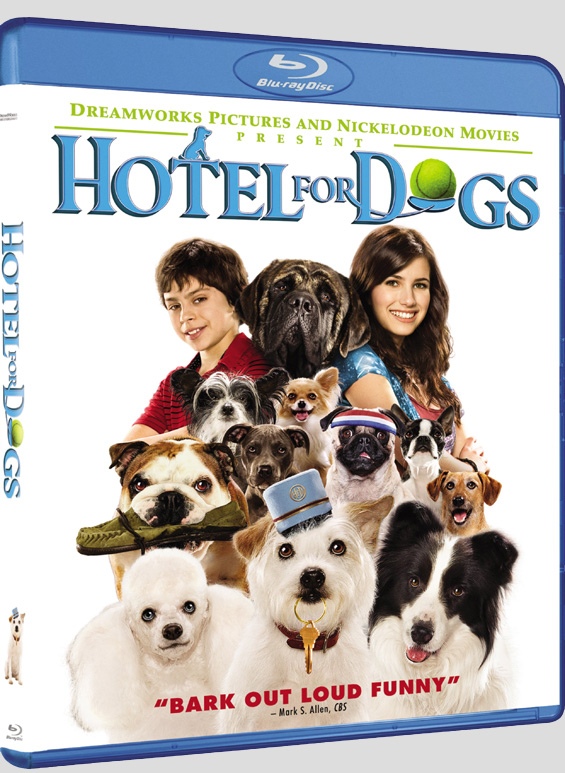 hotelfordogsBD.jpg