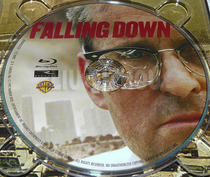 fallingdownBD_disc.jpg