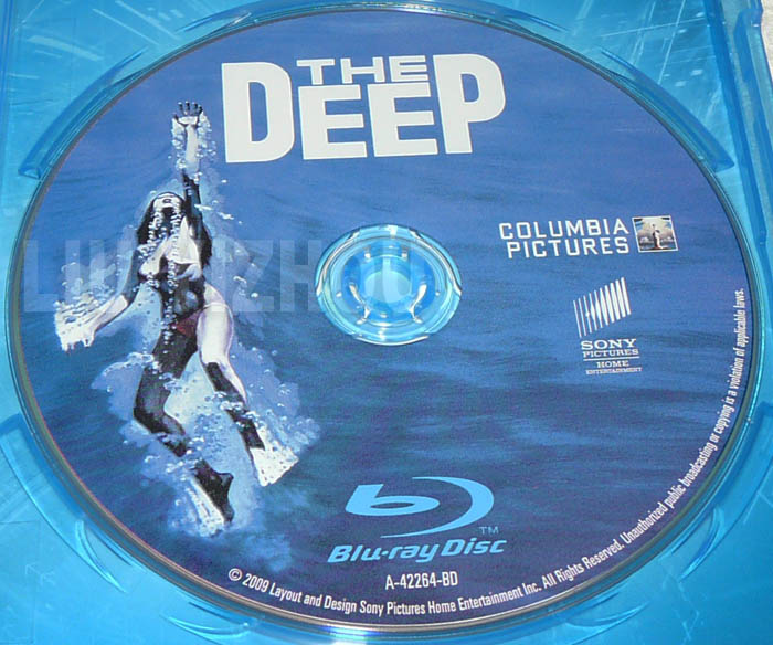 deepBD_disc.jpg