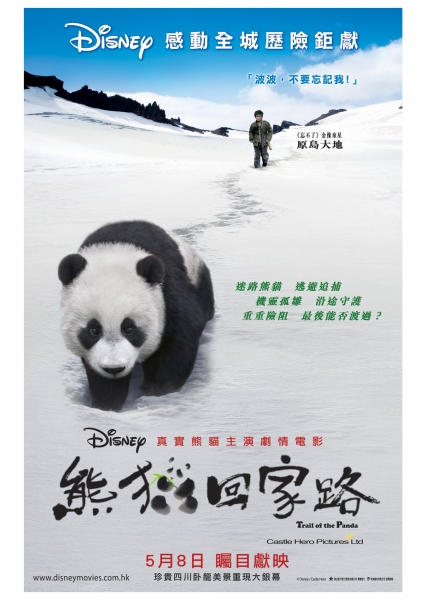 Panda_Poster_New2.jpg