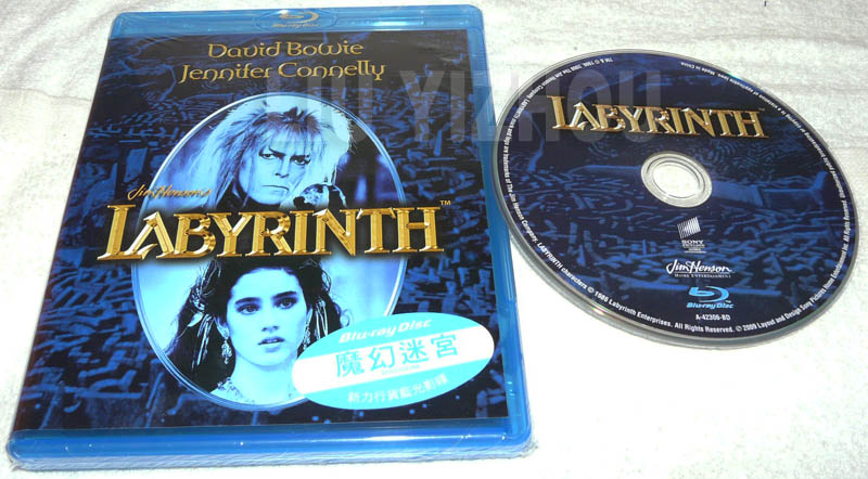 labyrinthBD_full.JPG