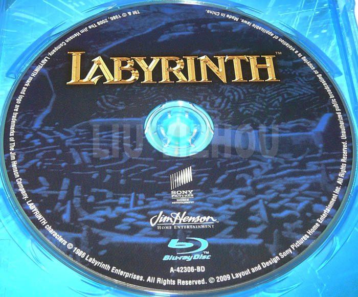 labyrinthBD_disc.JPG