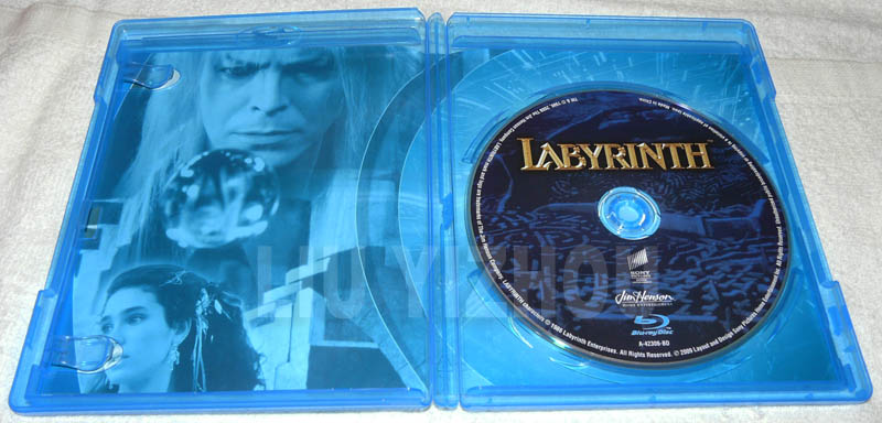 labyrinthBD_inside.JPG