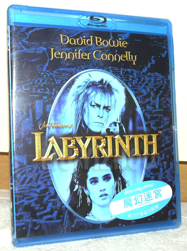 labyrinthBD_cover.JPG