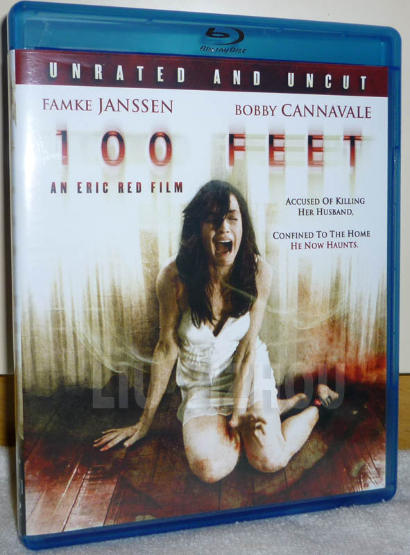 100feetBD_cover.jpg