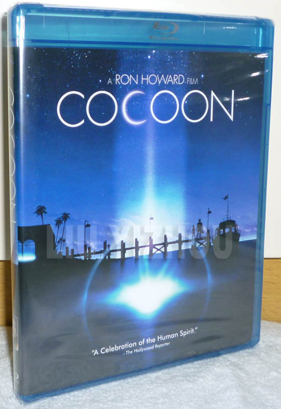 cocoonBD_cover.jpg