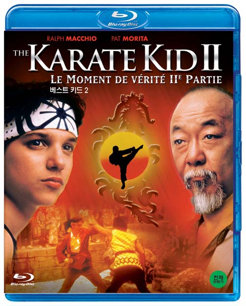 karatekid2BD.jpg