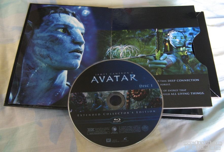 Avatar-19.jpg
