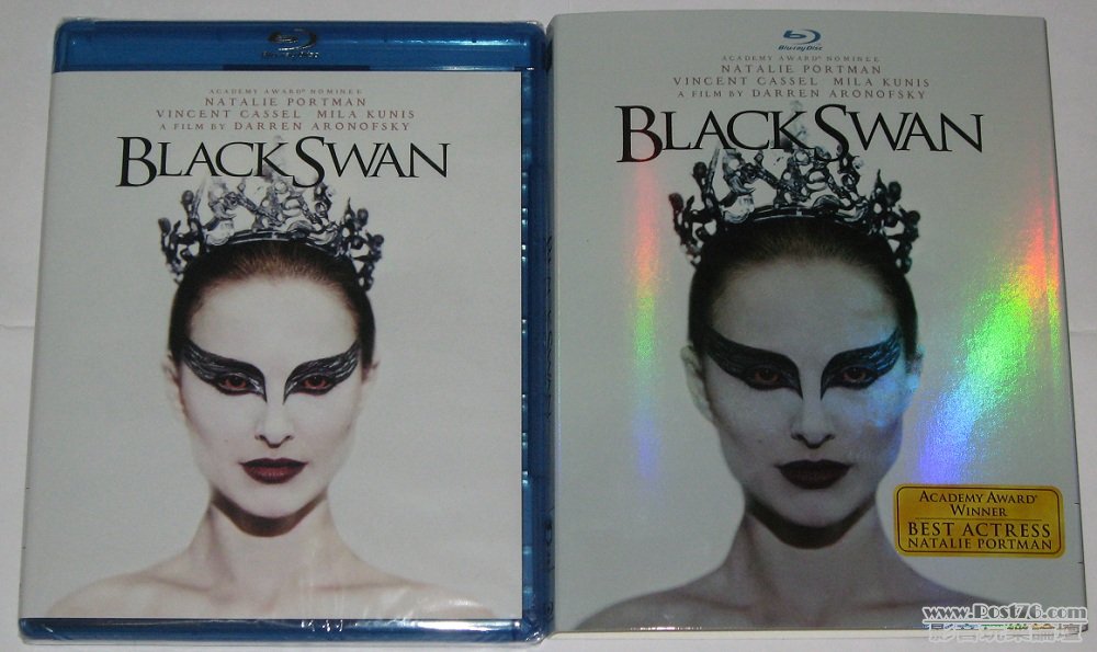 blackswan5.jpg