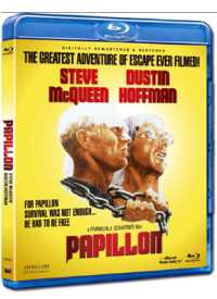 Papillon%20KAMBLURAY.jpg