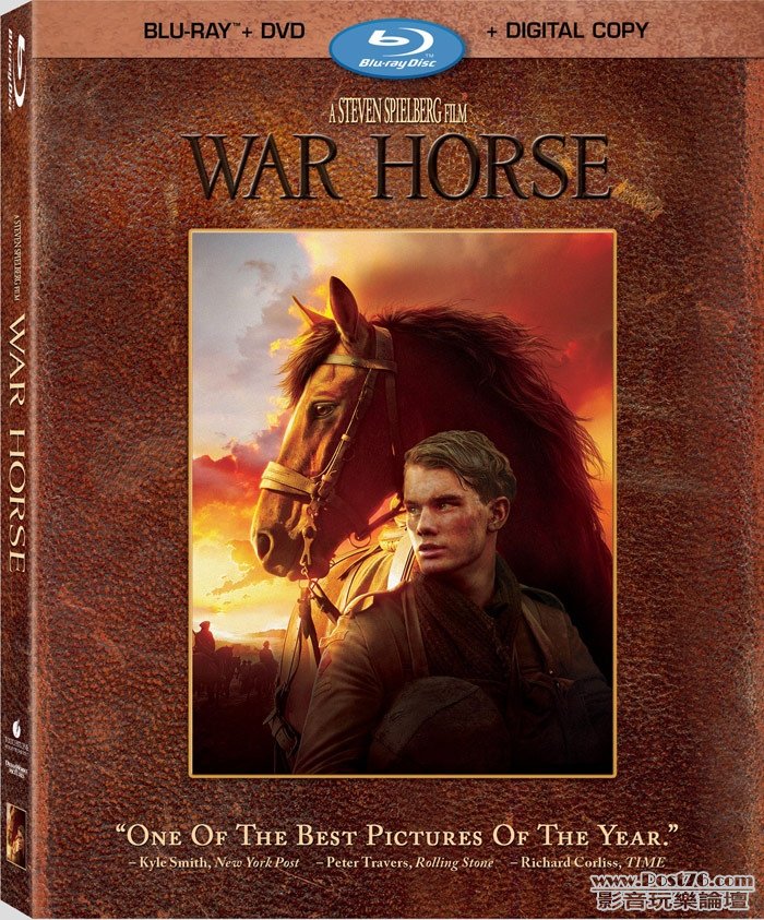 warhorseartworkpic2.jpg