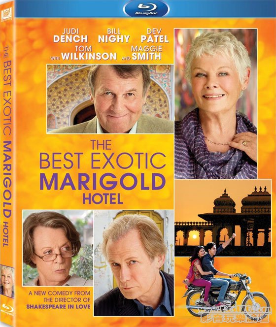 The Best Exotic Marigold Hotel BD US.jpg