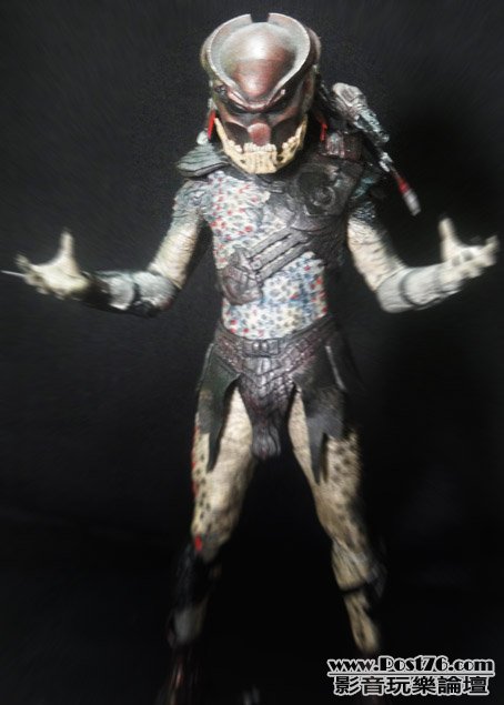 NECA-P2.JPG