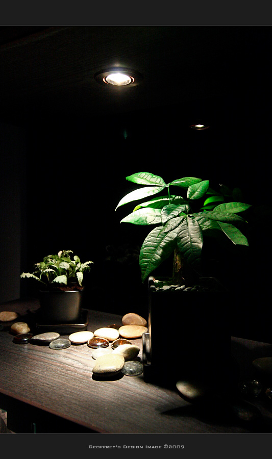 Plant-V1.jpg