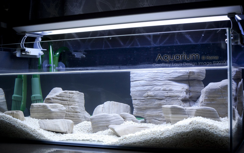 New Aquarium-2.jpg