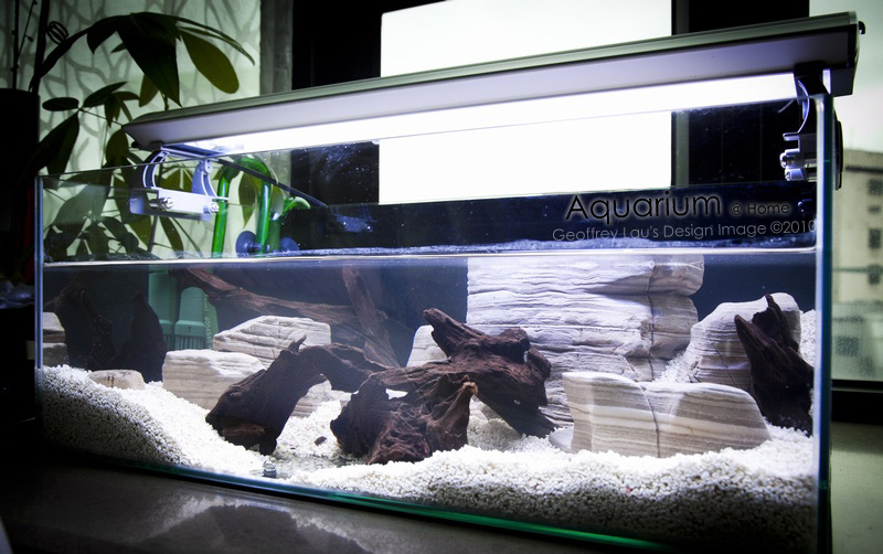 New Aquarium-B1.jpg