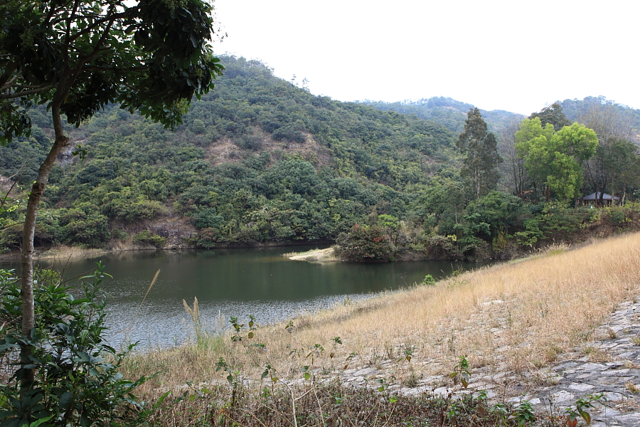 一出發就要向上行, 行左半粒鐘左右就開始見到d靚景. 