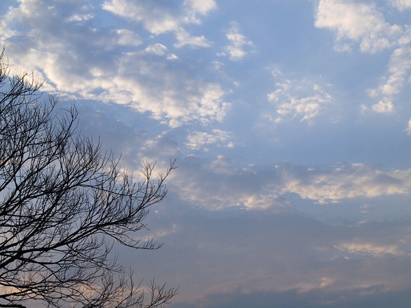 u - Feb 12, 2011 206a.jpg