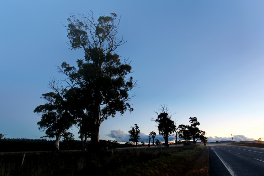 Tasman Highway