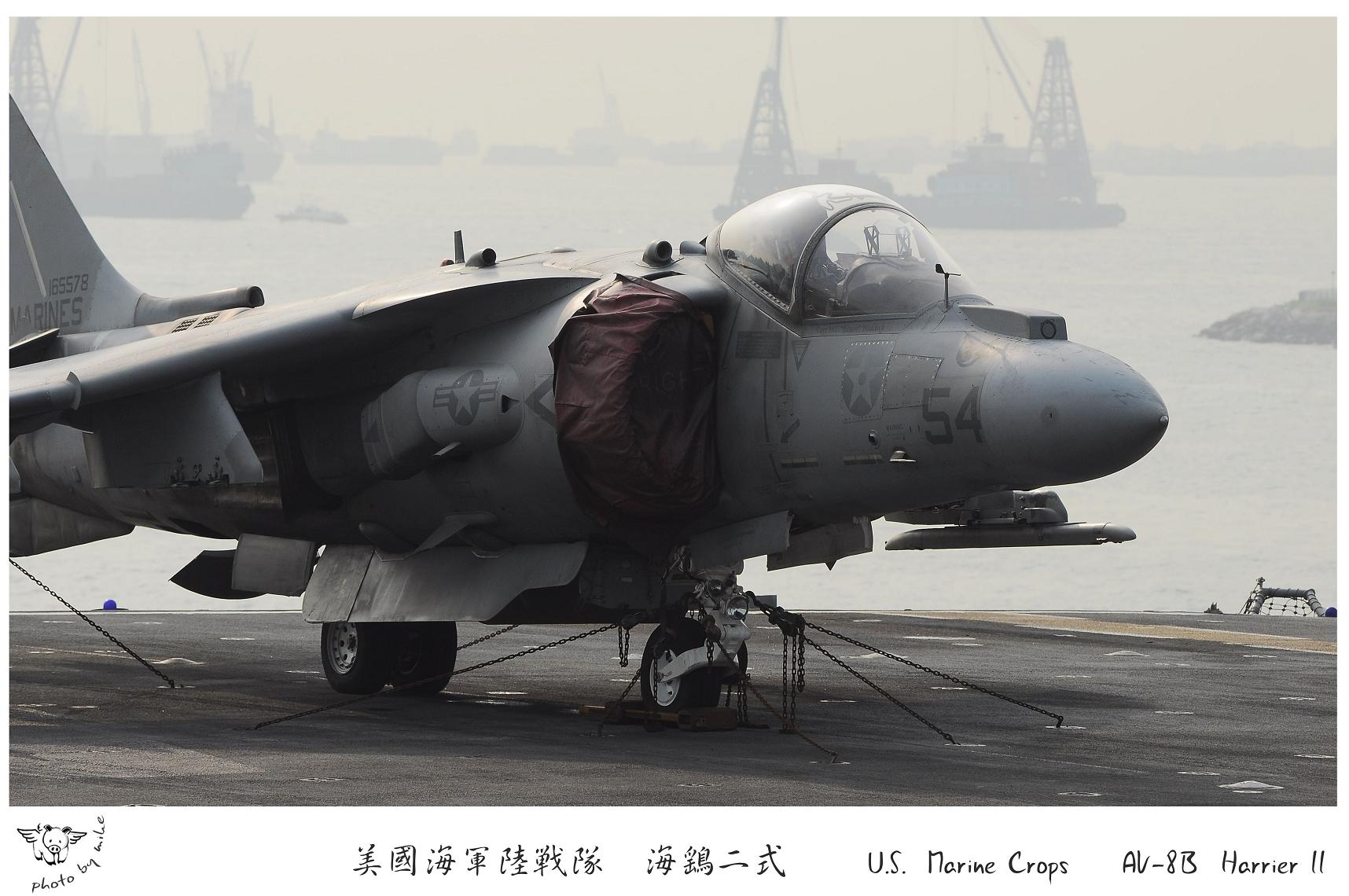 harrier_01S.JPG