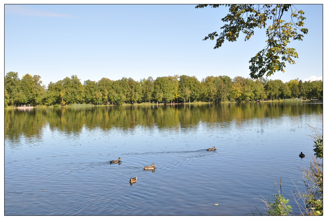 Peterhof Palace_03.jpg