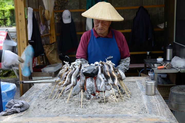 日光燒魚