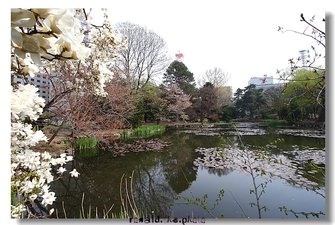 札幌市內公園