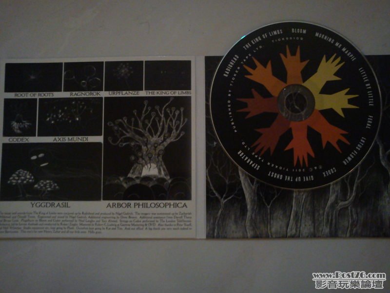 img20110628022913.jpg