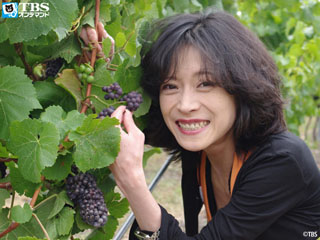 中森明菜2.jpg