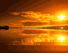 gif30.gif
