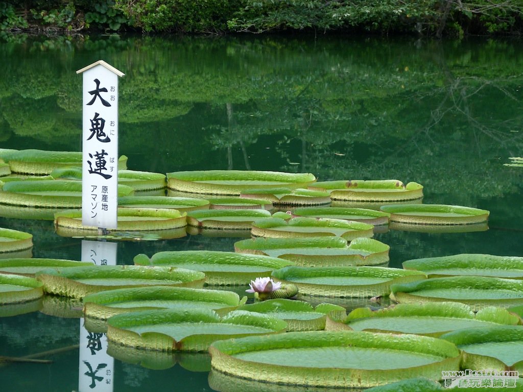 L1030612 拷貝.JPG