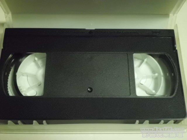 single8698_video_3.JPG