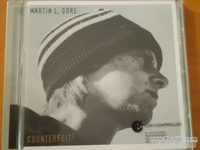 martin_counterfeit_1.JPG