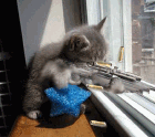 u=649179959,1332936102&fm=15&gp=0.gif