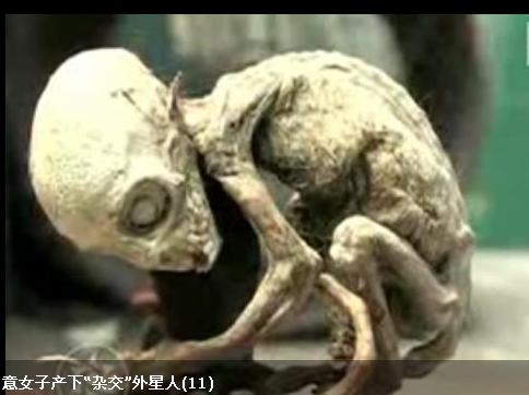 360截图20111027122935843.jpg
