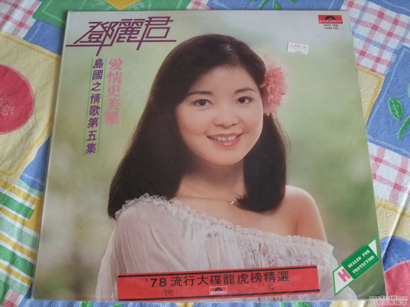 第五集.jpg