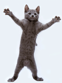 Funny (60).gif