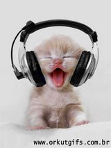 gatosmagiagifs70.jpg