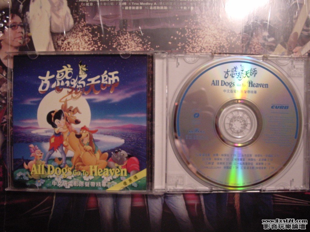 DSC00053.jpg