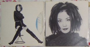 王菲 faye wong 新艺宝 日本电台DJ宣传白板碟 讨好自己.jpg