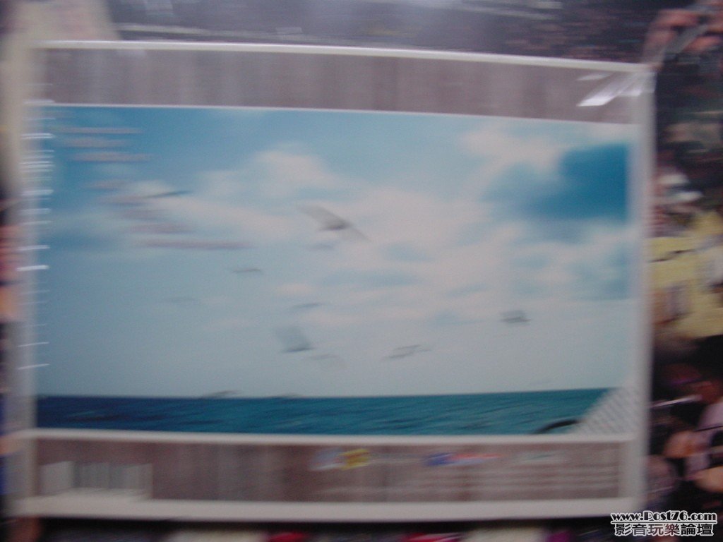 DSC00114.jpg