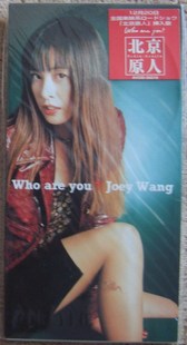 王祖贤 who are you 北京原人 日本三寸.jpg