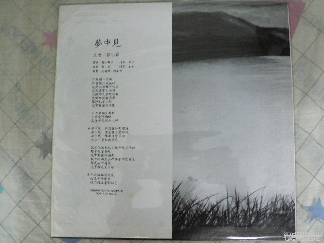 P1020373.JPG