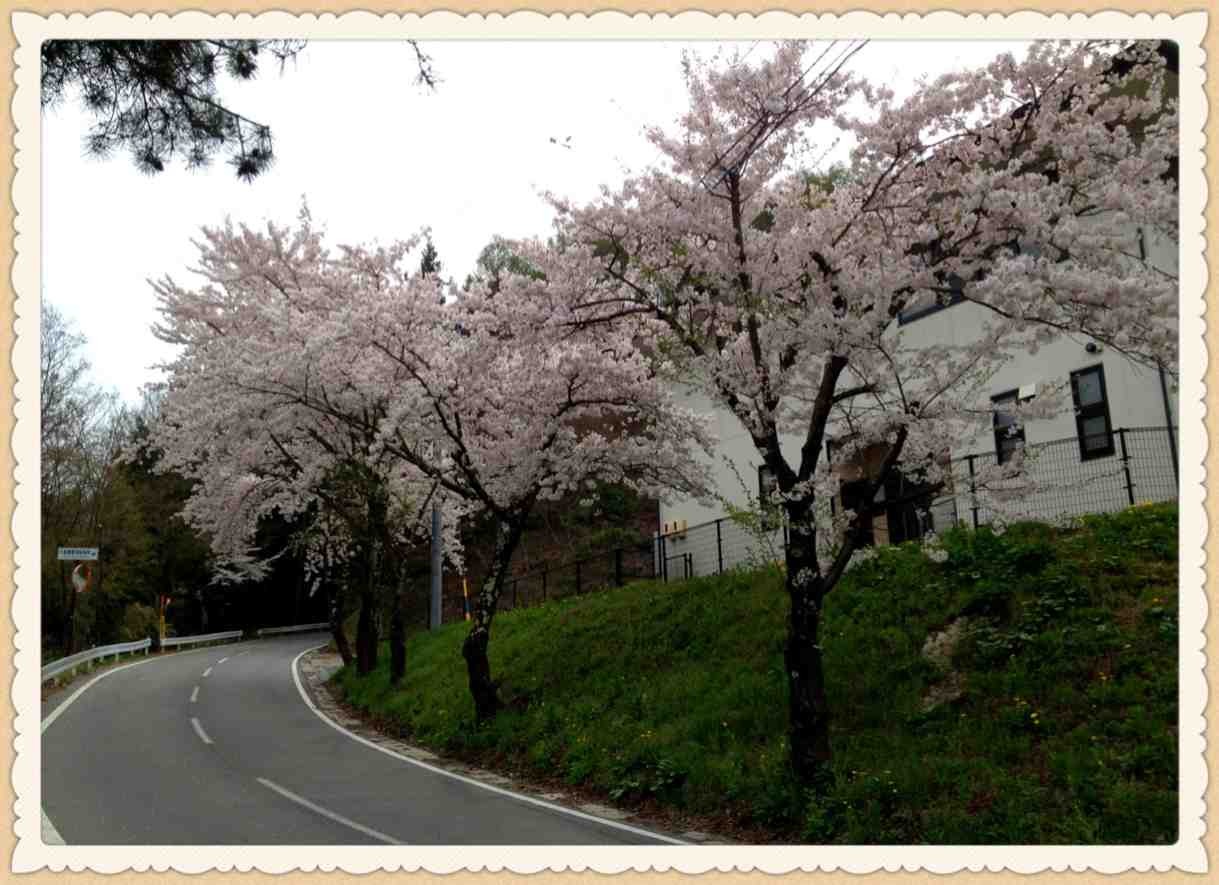 ImageUploadedBy大板凳1335779369.359825.jpg