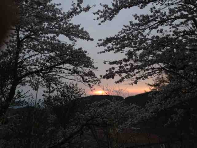 ImageUploadedBy大板凳1335779837.162501.jpg