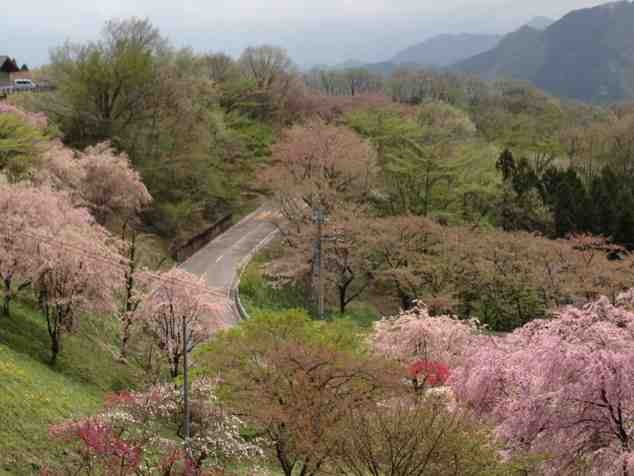 ImageUploadedBy大板凳1335887392.994862.jpg