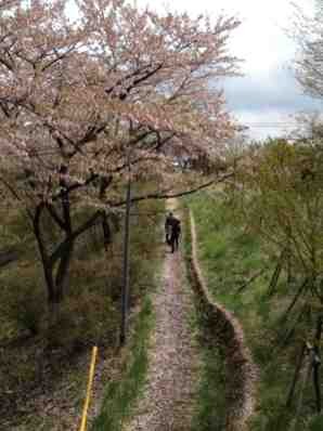 ImageUploadedBy大板凳1335887419.672365.jpg
